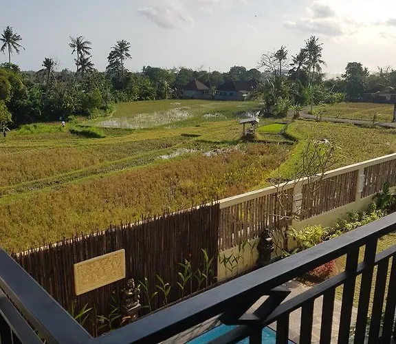 Bunga Ayu Homestay Guest house Canggu (Bali)
